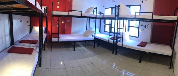 Single Bed in Mixed Dormitory Room