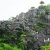 Bai Dinh Pagoda – Trang An – Mua Cave – Cuc Phuong National Park Private  2 Days 1 Night