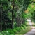 Bai Dinh Pagoda – Trang An – Mua Cave – Cuc Phuong National Park Private  2 Days 1 Night